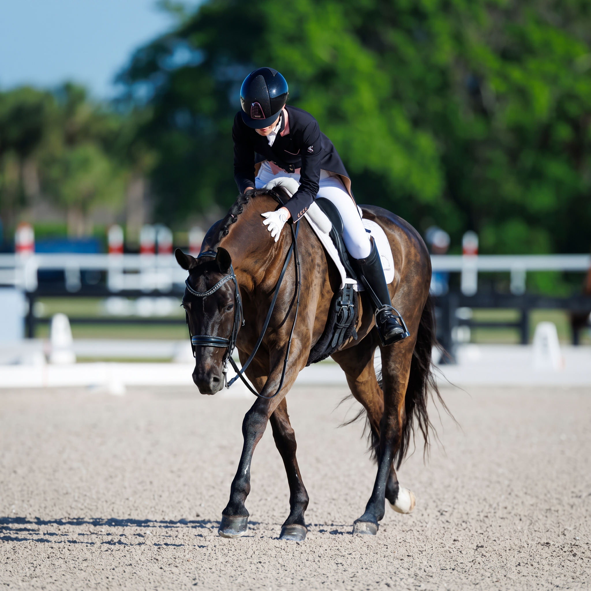 An Equitas Dressage rider in formal attire reaching down to pat her dark bay horse after a ride in the show arena