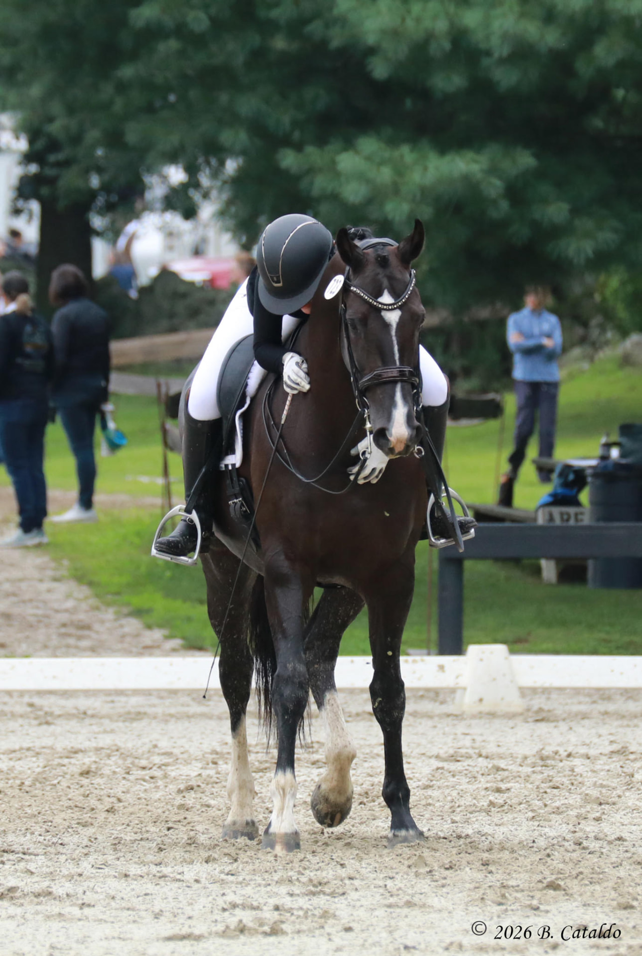 Katie leaning into her horse's neck in a quiet moment after a ride